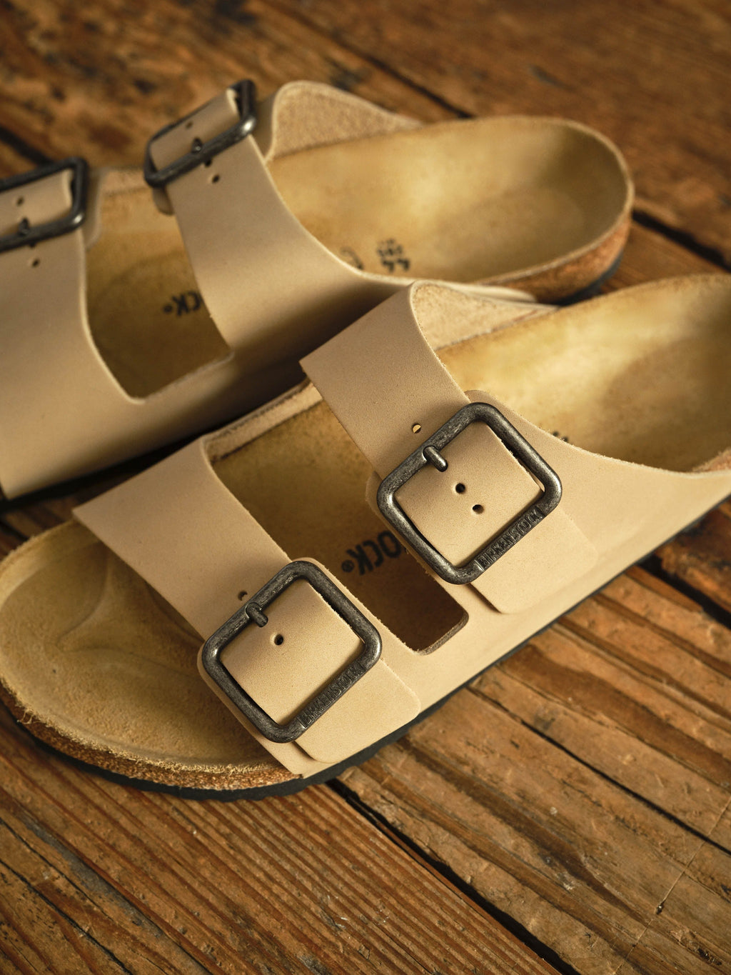 Arizona Wire Buckle - Sandcastle